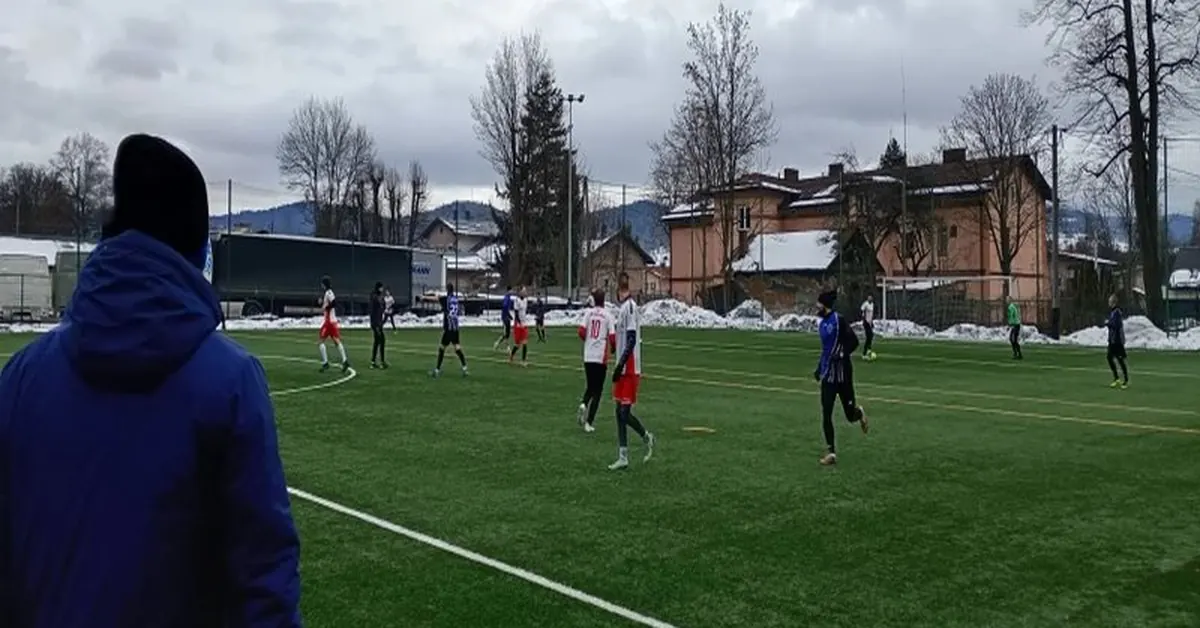 Jak zaplanować funkcjonalny ogród przydomowy